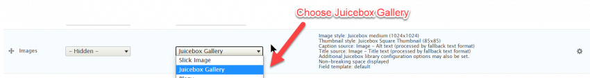 Choose Juicebox Gallery as the image field format